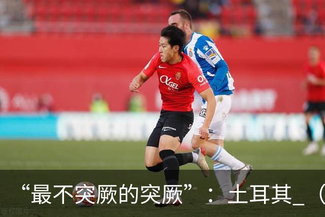 “最不突厥的突厥”：土耳其 （中土网友大战系列之一）