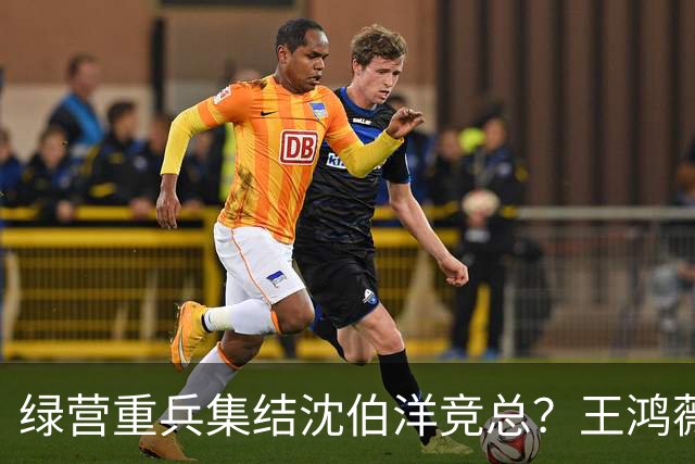绿营重兵集结沈伯洋竞总？王鸿薇示警：蒋万安辩论恐遭断章取义