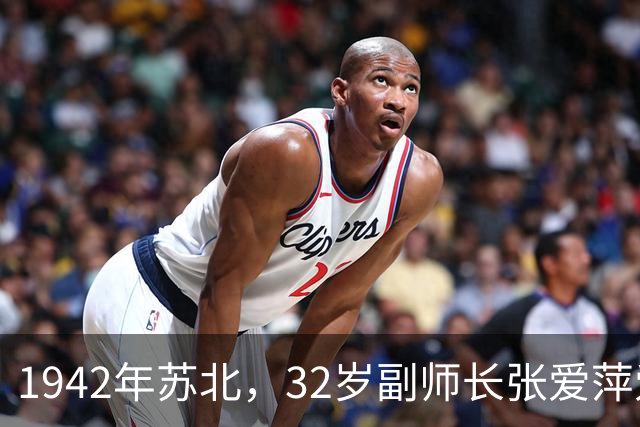 1942年苏北，32岁副师长张爱萍爱上了项英23岁遗孀，众人皆反对