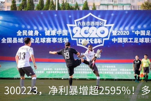 300223，净利暴增超2595%！多家A股公司业绩爆发